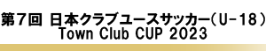 Town Club Cup
